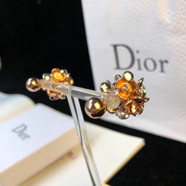 Dior Earrings 4229