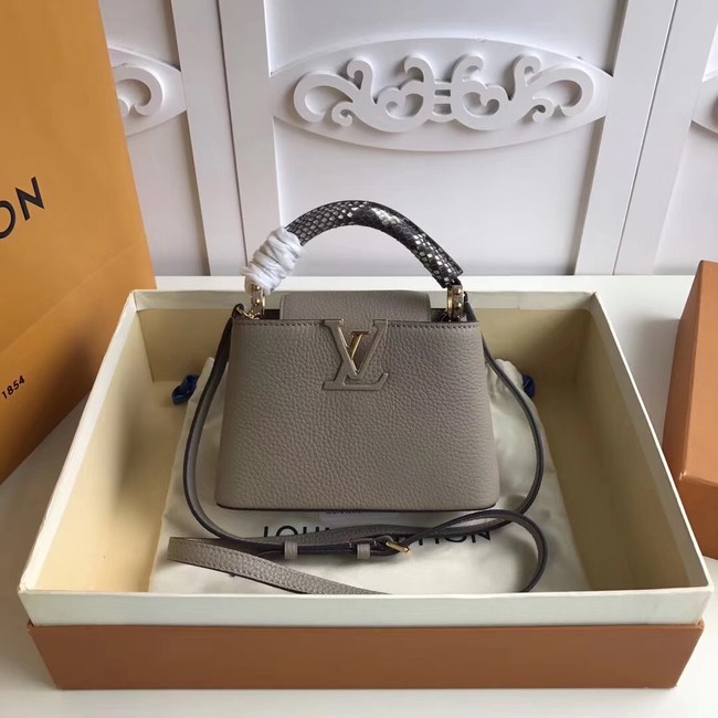 Louis vuitton original CAPUCINES MINI N94047 grey