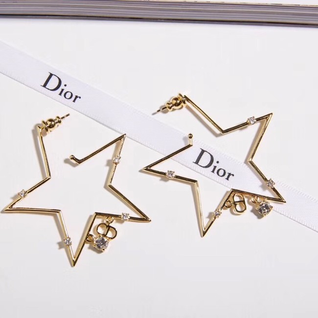 Dior Earrings 69895