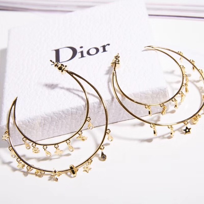 Dior Earrings 18270