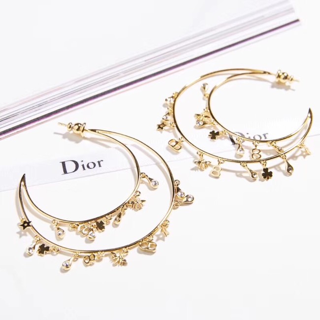 Dior Earrings 18270