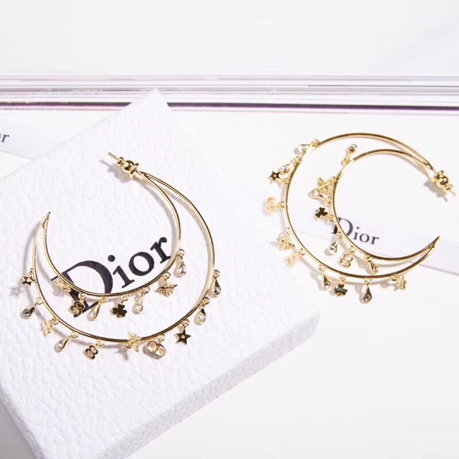 Dior Earrings 18270