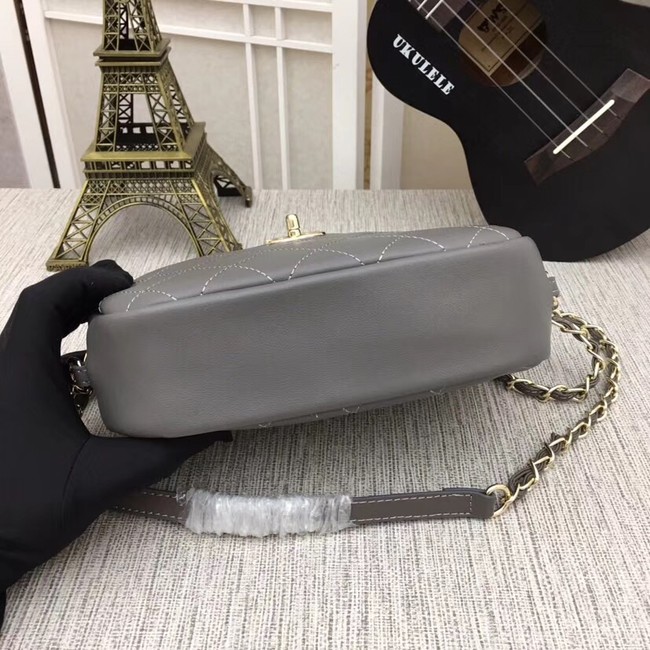 Chanel camera case Metallic Goatskin & Gold-Tone Metal 8040A grey