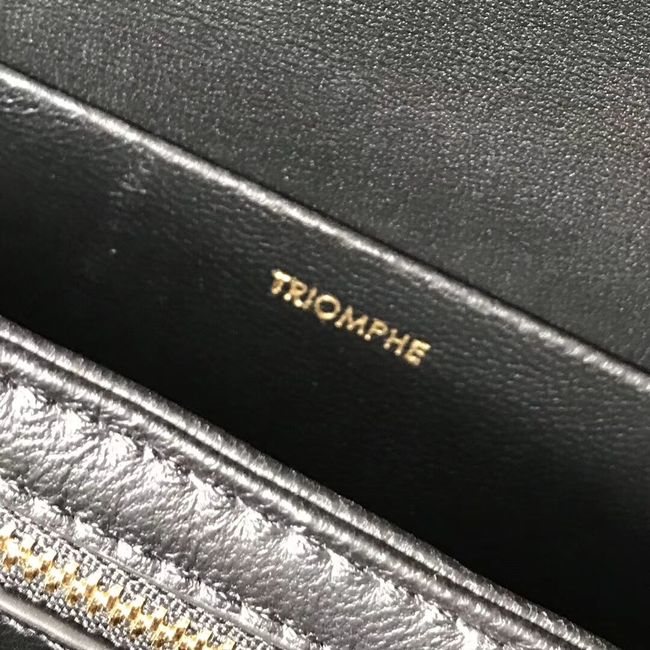 CELINE MEDIUM TRIOMPHE BAG IN SHINY CALFSKIN CL87363 BLACK