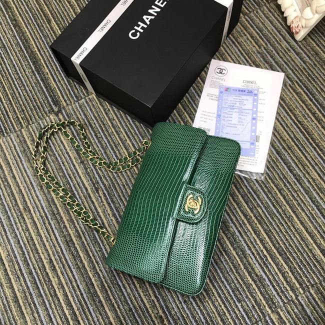 Chanel Classic Handbag Original Lizard & Gold-Tone Metal A01112 green