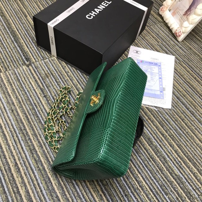 Chanel Classic Handbag Original Lizard & Gold-Tone Metal A01112 green