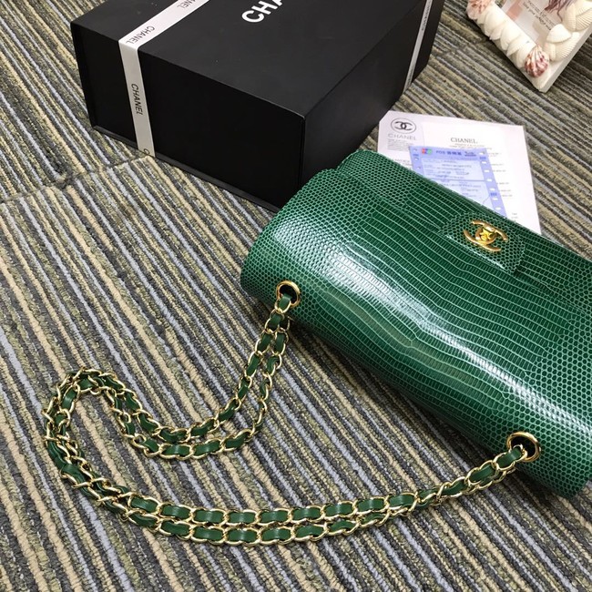 Chanel Classic Handbag Original Lizard & Gold-Tone Metal A01112 green