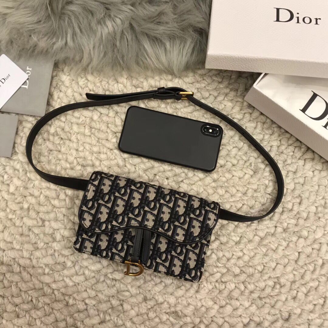 DIOR Oblique Belt Bag D26988