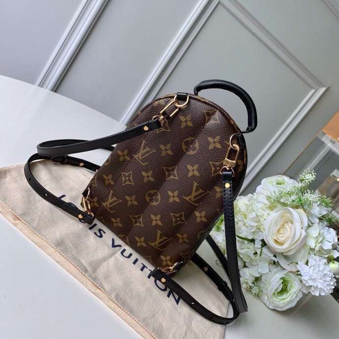 Louis Vuitton Original Monogram Canvas PALM SPRINGS MINI M44367