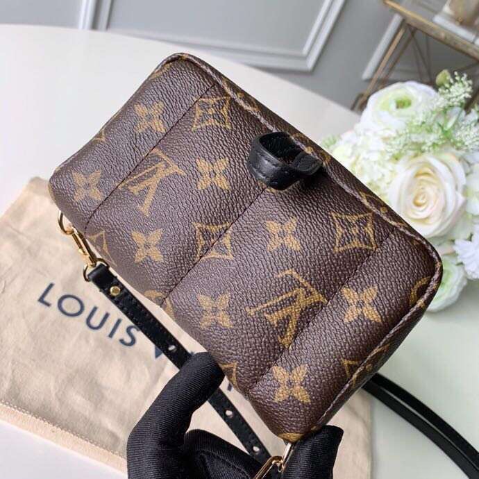 Louis Vuitton Original Monogram Canvas PALM SPRINGS MINI M44367