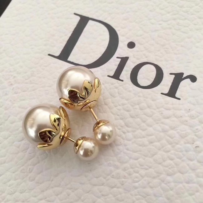 Dior Earrings CE1974