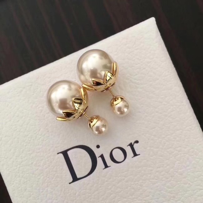 Dior Earrings CE1974
