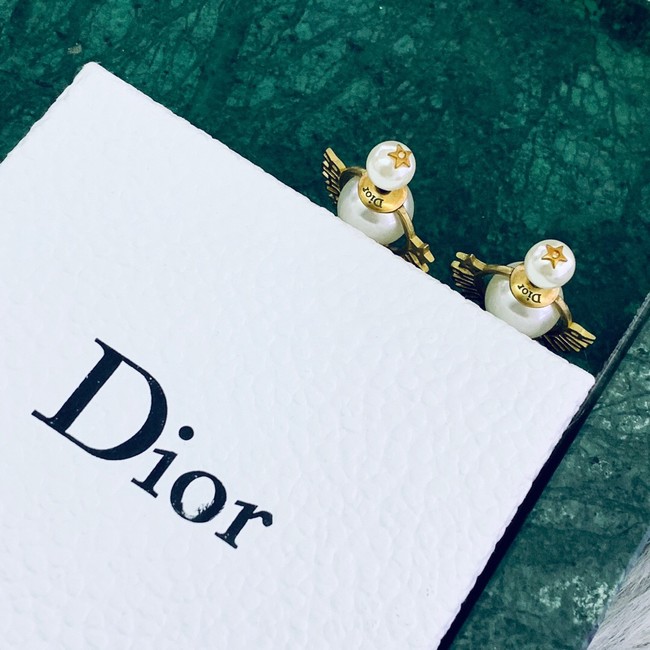 Dior Earrings CE2020