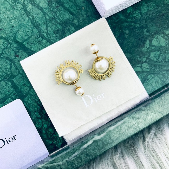 Dior Earrings CE2020