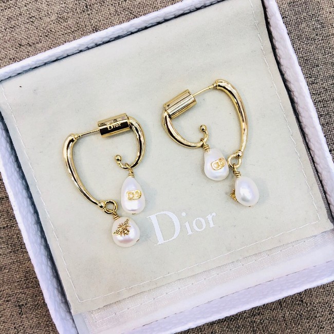 Dior Earrings CE2021