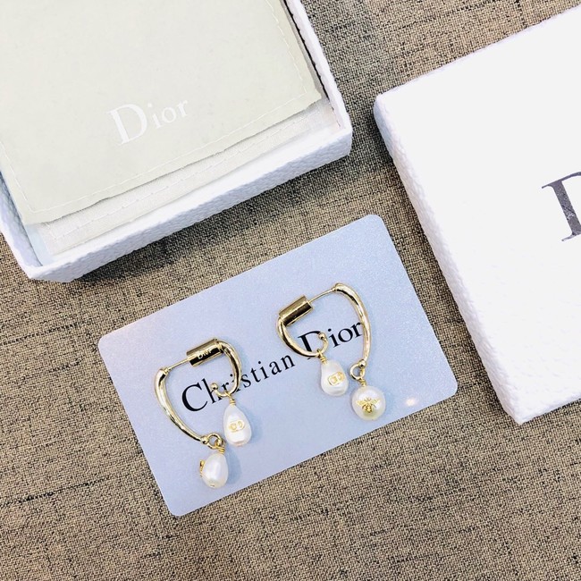 Dior Earrings CE2021