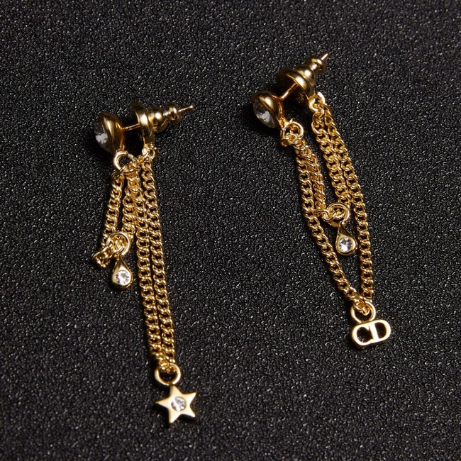 Dior Earrings CE2048