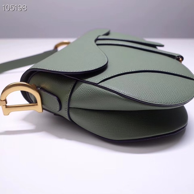 Dior SADDLE-TAS VAN KALFSLEER M0446CW green