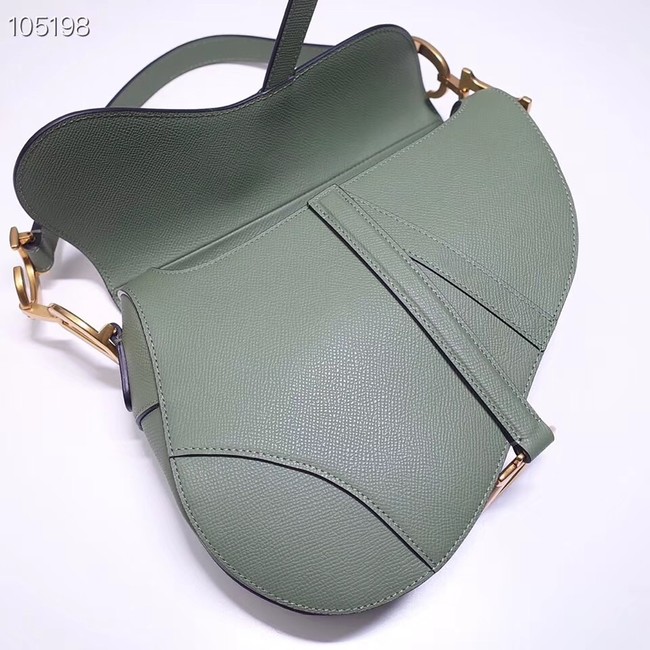 Dior SADDLE-TAS VAN KALFSLEER M0446CW green