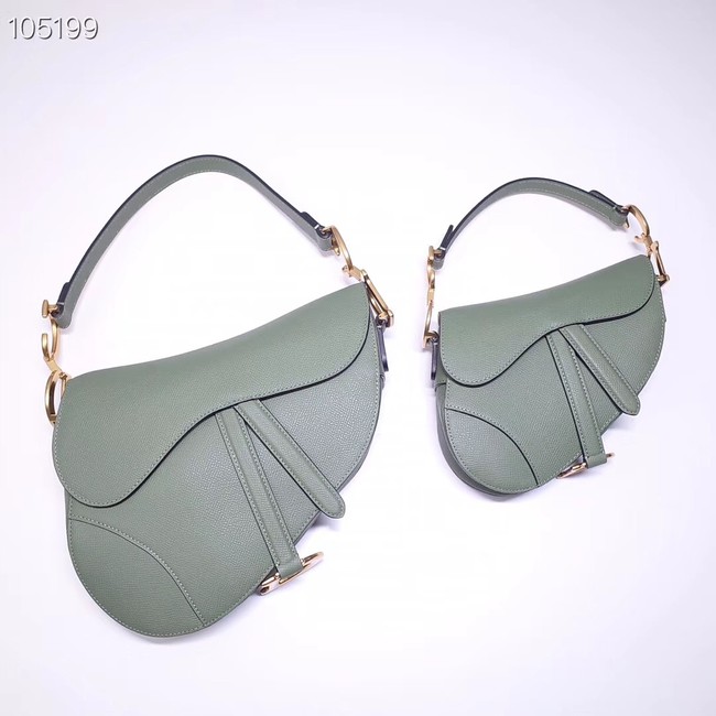 Dior SADDLE-TAS VAN KALFSLEER M0446CW green