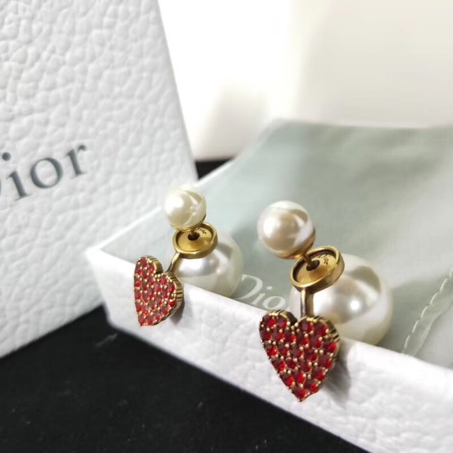 Dior Earrings CE2110