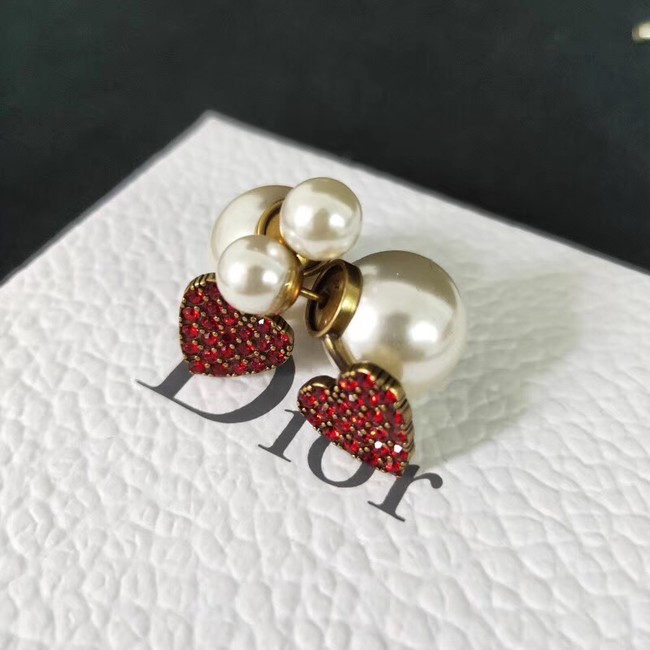 Dior Earrings CE2110