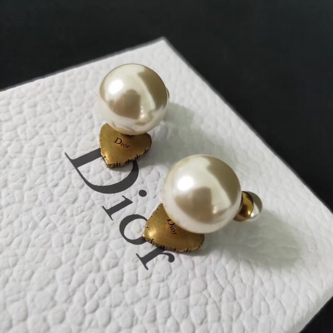 Dior Earrings CE2110