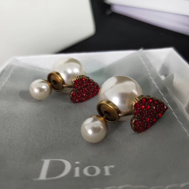 Dior Earrings CE2110