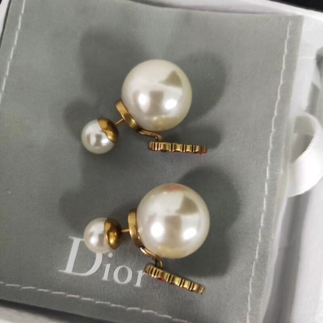 Dior Earrings CE2110