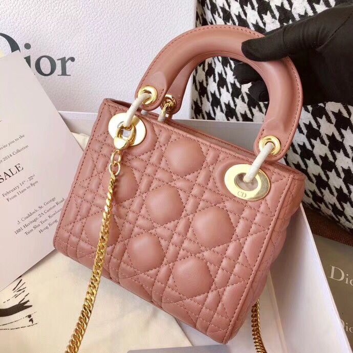 MINI LADY DIOR-TAS VAN ROZE LAMSLEER M398