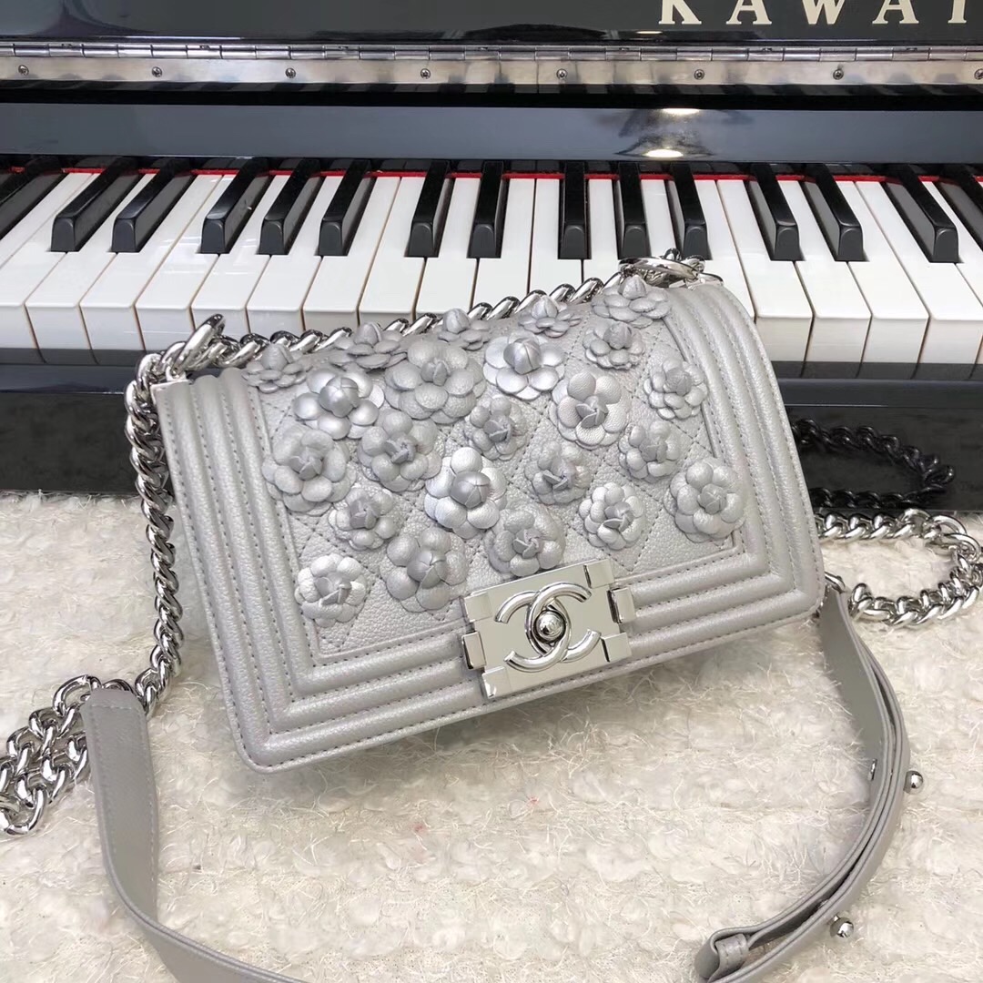 Chanel Leboy Original Calfskin leather Shoulder Bag E67085 silver & silver-Tone Metal