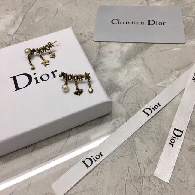 Dior Earrings CE2135