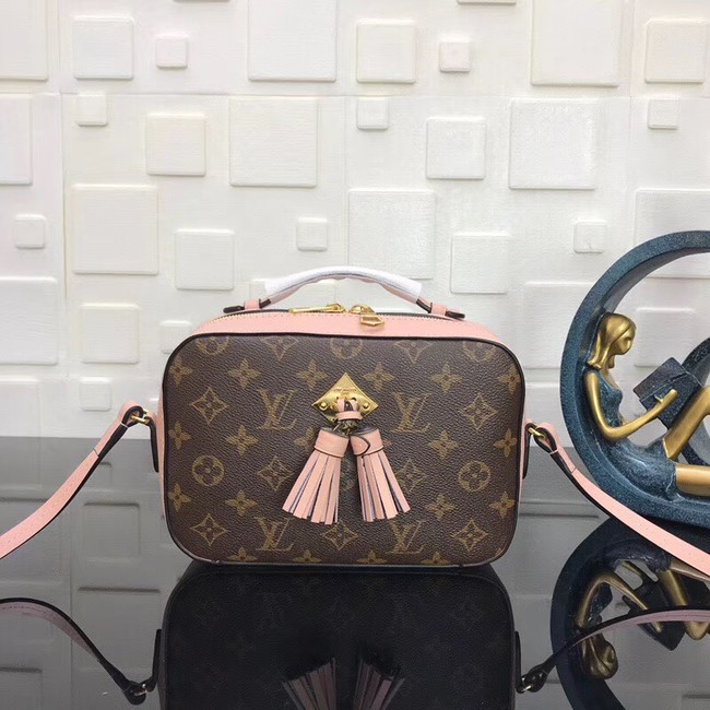 Louis Vuitton Monogram Canvas original Leather SAINTINGE N40154 pink