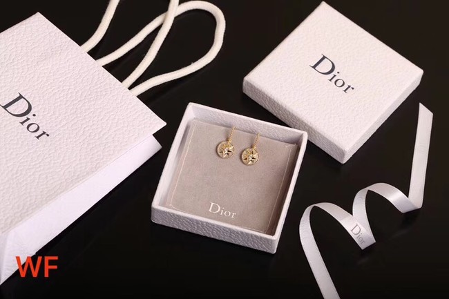 Dior Earrings CE2157