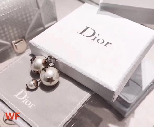 Dior Earrings CE2172