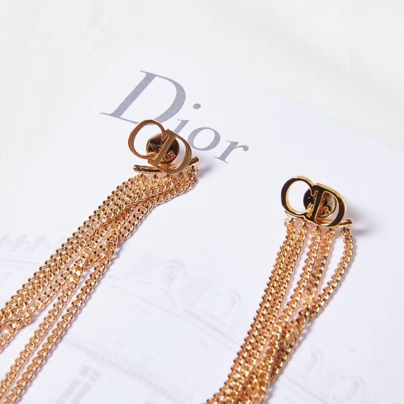 Dior Earrings CE2190