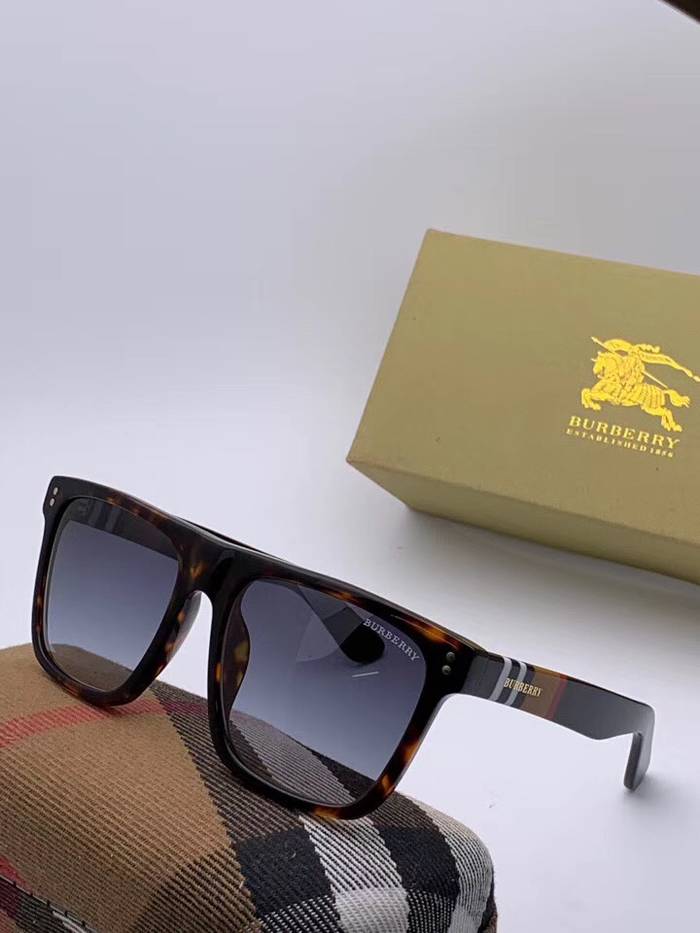 BurBerry Sunglasses Top Quality BB41006