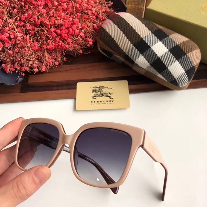 BurBerry Sunglasses Top Quality BB41023