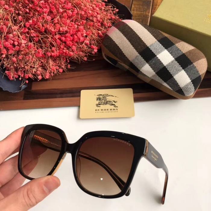 BurBerry Sunglasses Top Quality BB41024