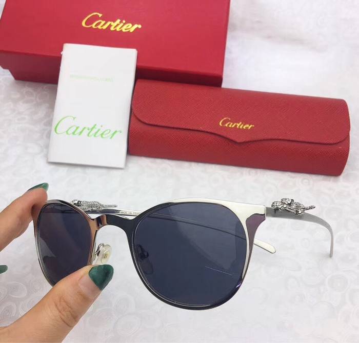 Cartier Sunglasses Top Quality C41027