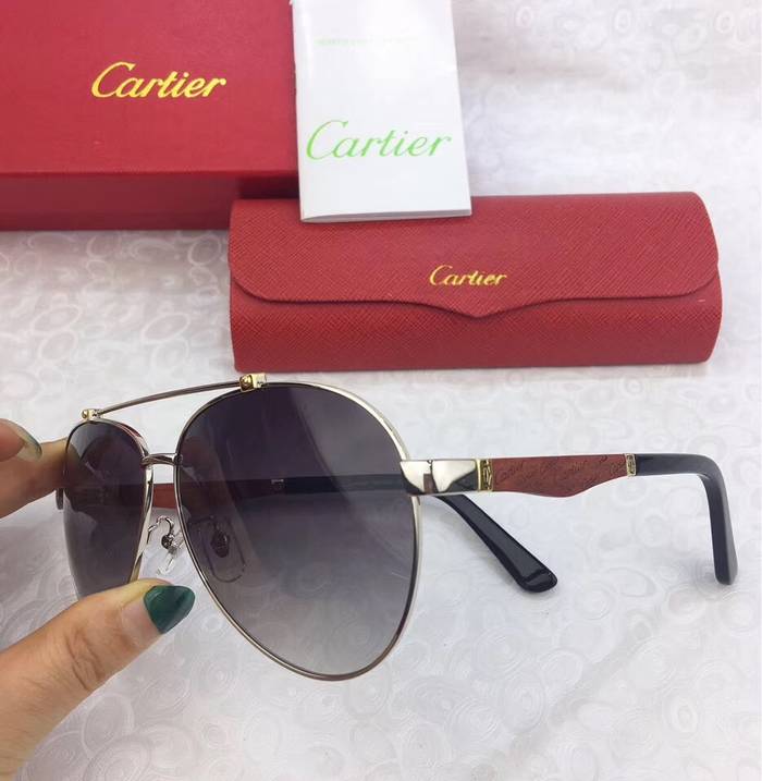 Cartier Sunglasses Top Quality C41034