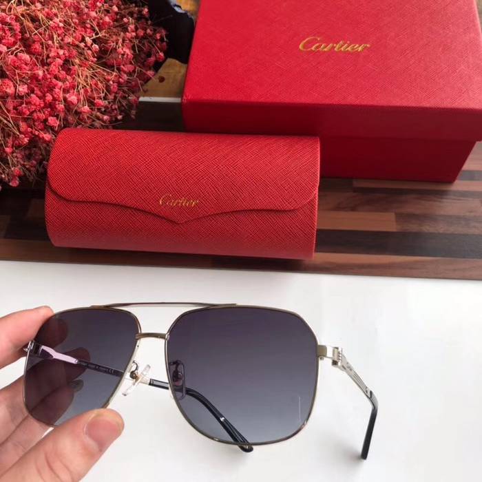 Cartier Sunglasses Top Quality C41039