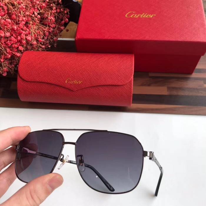 Cartier Sunglasses Top Quality C41043