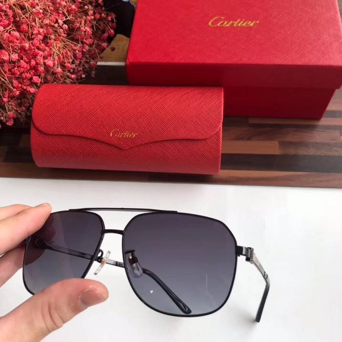 Cartier Sunglasses Top Quality C41044