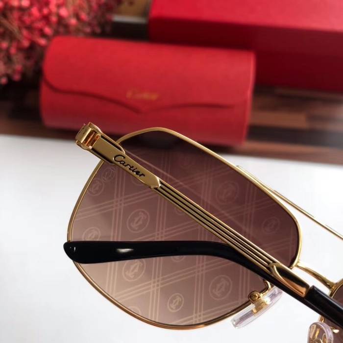 Cartier Sunglasses Top Quality C41047