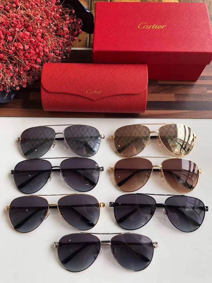 Cartier Sunglasses Top Quality C41048