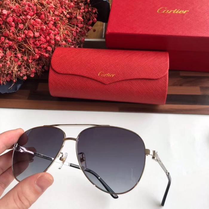 Cartier Sunglasses Top Quality C41051