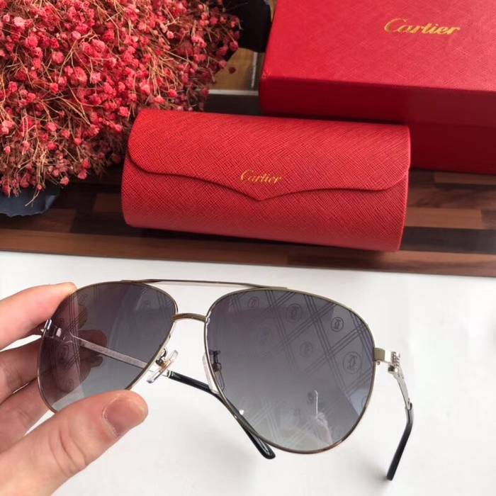 Cartier Sunglasses Top Quality C41052