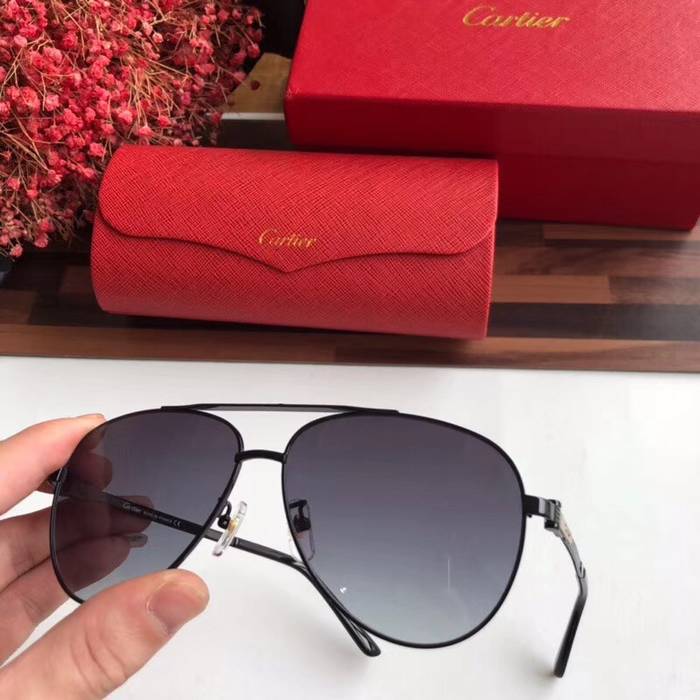 Cartier Sunglasses Top Quality C41055