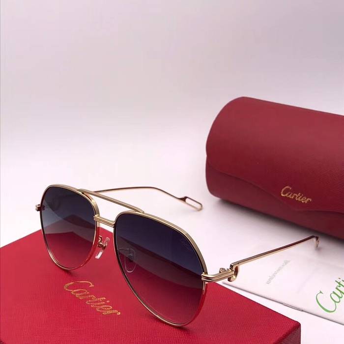 Cartier Sunglasses Top Quality C41066